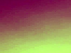 Amateur pussy eating