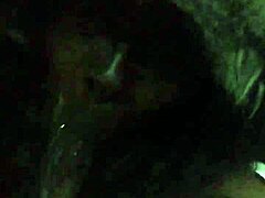 busty ebony girl sucking