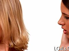 Two Beauties Explore Toys Together