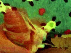 Neighbor's dirty laundry, what secrets does it hide?