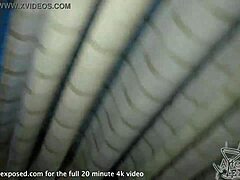 Deadxxxseal is sucking me off in POV.