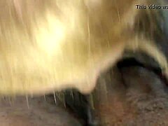 Trimmed Video Clip Of A Casual Blowjob Scene