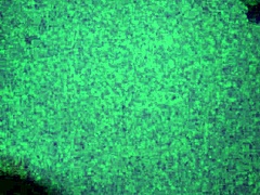 School friend rides monster cock.