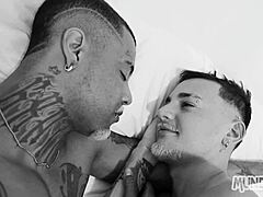 Gay interracial couple proposes marriage in romantic setting