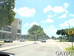 Intense Homosexual Blow Job Passion