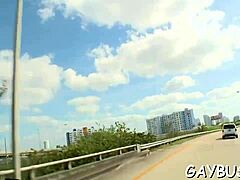 gay bear porn movie scenes