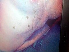 tribute for lovekisse