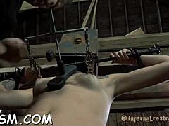 shocking prod on bound chicks' panties and shaved pussy?