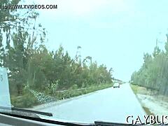 I share free homo sex pics from my collection