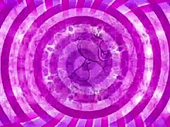 one confused sissy explores new ideas