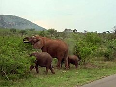 Come on, give me that deepthroat face fucking with your big tits and rough interracial action in the van.