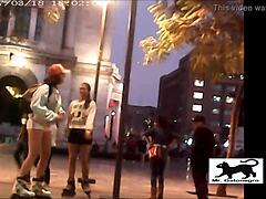 hey what about that stray cat on the street adventure?