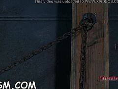 Inflicting Pleasure On Babe's Slit