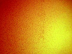 Asian hooker licks in missionary for creampie!