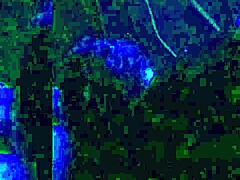 Girlfriend secretly gives deepthroat blowjob on hidden camera