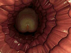 孕妇角色在厕所激烈扩张主题高潮第75集