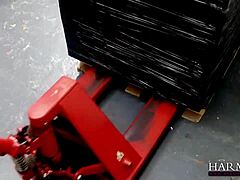 Hot lesbian threesome with the boss samantha bentley