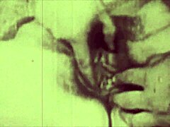 a steamy night unfolds in lord george herbert’s moorish harem chapter one