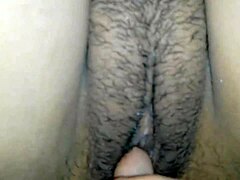 Is doggy style with neighborhood muslim wife the ultimate thrill?