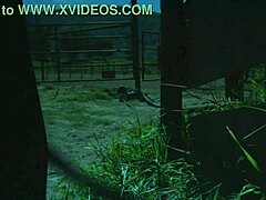 Brooke Ballentyne Fucks Ranch Hand By Fireside!