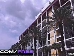 College football party explodes with secret blowjobs from cheating wives. Amateur taboo sucking leads to cumshot swallows in wild pov action!