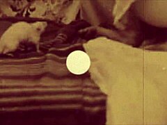 dark lantern entertainment shares a vintage tale of beauty and the beast with antique scenes and retro vibes