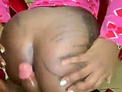 Hot doggie in outdoor public spot