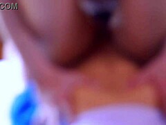 Is this your sister's companion in your house?