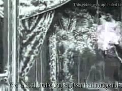 dark lantern entertainment shares vintage swingers in hairy beaver group action from my secret life erotic confessions