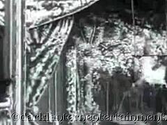 dark lantern entertainment shares vintage swingers in hairy beaver group action from my secret life erotic confessions