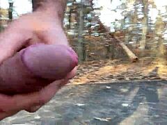 Clitlicker662 shares flashing update 21 with img 1257 from Nov 26 2024.