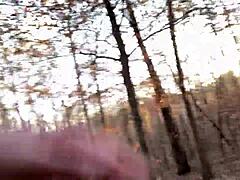 Clitlicker662 shares flashing update 21 with img 1257 from Nov 26 2024.