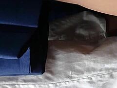 Bajo Falda En El Bus With Sexy Latina