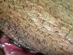 De Perrito Le Introduzco Toda La Verga