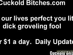 I Want You to Watch Me Fuck a Complete Stranger