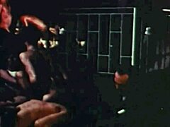 dark lantern says, 'welcome to the dragonfly freddie orgy with hairy pussies and monster cocks.'