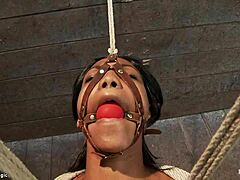 hogtied ebony slave gets pussy lips opened with dildo 😈