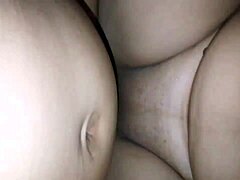 哥伦比亚加州交换派对群P