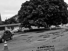 i showed my pussy in the parking lot and the doorman went crazy to fuck me