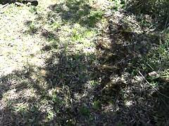 real voyeur got scared when i pissed from my hairy pussy