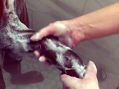 big step sister plays with brother's huge cock