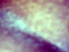 My Neighbor's Big Booty Wife