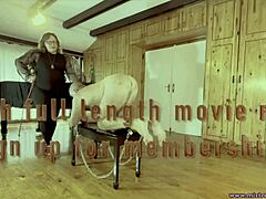 Strapon Domination Interrogation