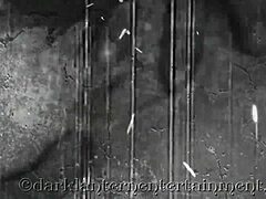 secret life presented