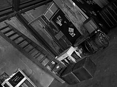 Swallowing Dick And Cum