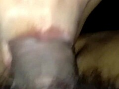 Student Cock Sucking