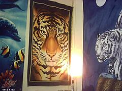 Big Breast Bombshell