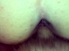 bbw creampie compilation