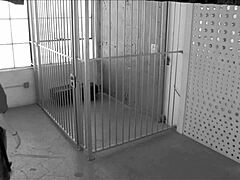 金发妹求假鸡巴猛插