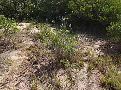 Intense Outdoor Fucking